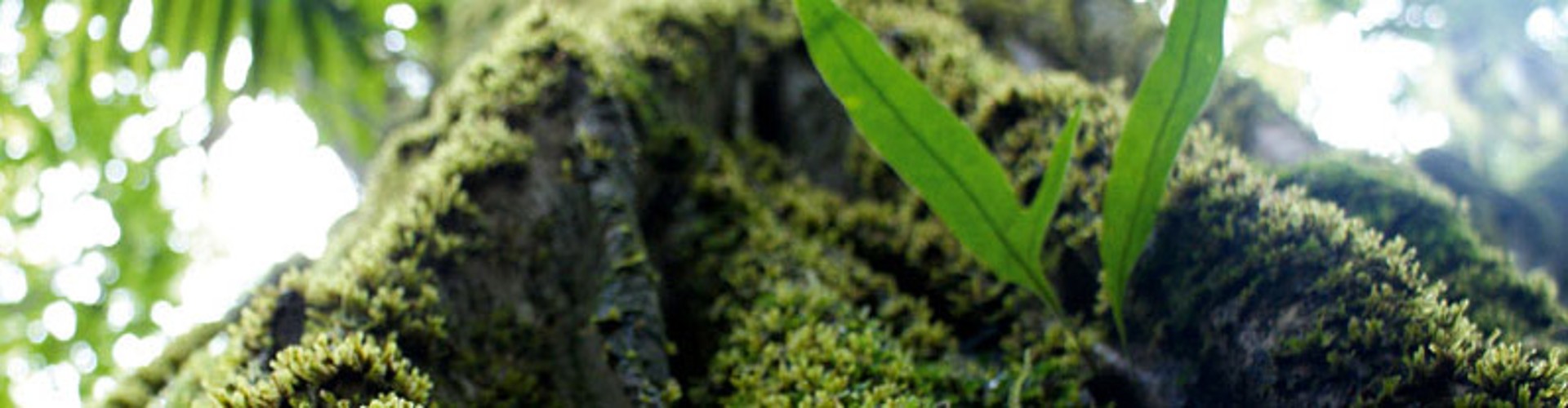 Health, Safety & Environmental